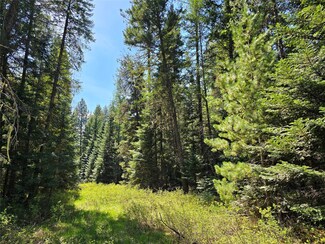 Lot 2 Bayside Ln, Trout Creek, MT 59874