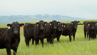 14651 County Road 3, Craig, CO 81625