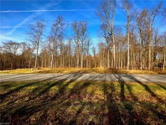 SL17 Tulip Ln, Chagrin Falls, OH 44023