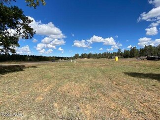 1721 S Torreon Lakes Dr Unit Lot 53, Show Low, AZ 85901