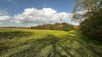 446 Anderson Farm Rd, Ronda, NC 28670