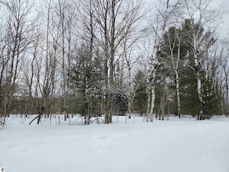 Lot 689,690,691 Wildomar Dr, Mancelona, MI 49659