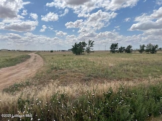 10412 Private Road 5860, Shallowater, TX 79363
