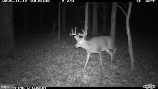 3536 J R Rannells Rd, Points, WV 26763