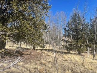 90 Pahaska Way, Como, CO 80432