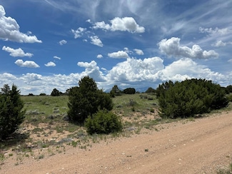 Lot 809 Rio Cucharas, Walsenburg, CO 81089