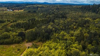 0 Jackson Highway Hwy Unit 1184385, Toledo, WA 98591