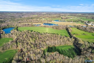 30 Acres County Road 1908, Albertville, AL 35950