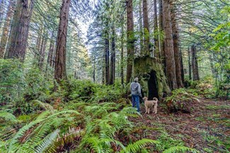 1155 Patricks Point Dr, Trinidad, CA 95570