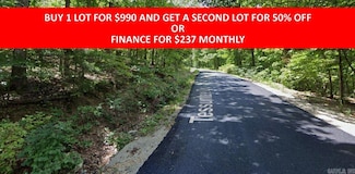 0 Tessuntee Dr Unit 25016500, Cherokee Village, AR 72529