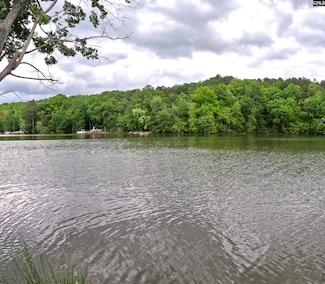 3111 Catawba Rd, Great Falls, SC 29055