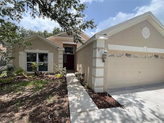 12421 Early Run Ln, Riverview, FL 33578
