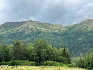 L1 Twin Peaks Dr, Anchorage, AK 99567
