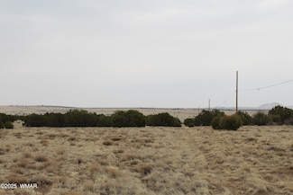 21 & 23 Cr 8004, Concho, AZ 85924