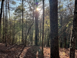 0 Hale Ct Unit 411673, Ellijay, GA 30540