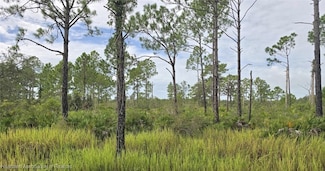 7931 Tiziano Dr, Sebring, FL 33872