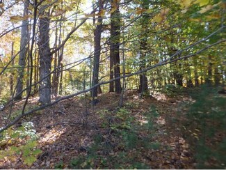 17 Gale Village Rd, Newton, NH 03858
