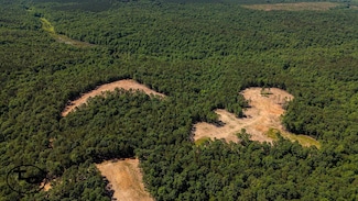 7000 Wolf Pen Rd, Pocahontas, TN 38061