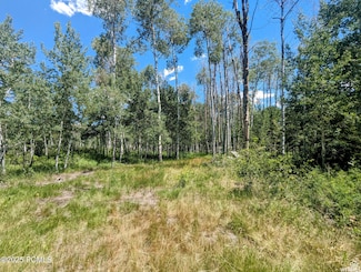 10579 E Fir Run, Heber City, UT 84032