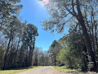 0 Royal Creek Rd Unit 21067248, Willis, TX 77303