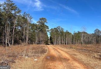 0 McGhee Rd Unit 10453026, Sparta, GA 31087