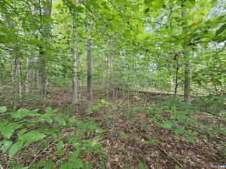 230 Beech Nut Dr, Blue Ridge Shores, VA 23093