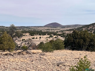 292  Lot 47 Cimarron Dr, Quemado, NM 87829