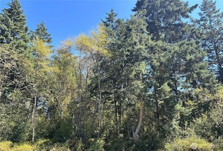 15 Xx7 Rainier St, Port Townsend, WA 98368