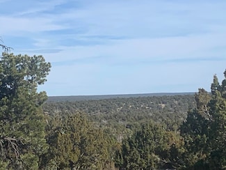4035 Sunset Ridge Loop, Happy Jack, AZ 86024