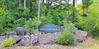 86 S Ridge Rd Unit 21, Bradford, NH 03221