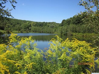 0 Elsohn Parcel 2 Rd Unit 127351, Gallatin, NY 12567