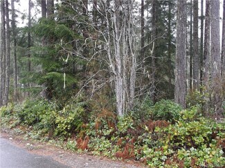 31 N Beaver Place S, Hoodsport, WA 98548