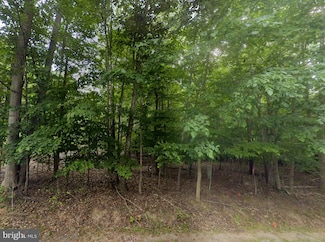 00 Red Fox Ln, Moneta, VA 24121