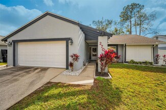2705 Lakeville Dr, Tampa, FL 33618
