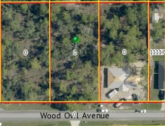 00 Wood Owl Ave, Weeki Wachee, FL 34614