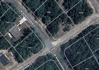 1924 W Andromedae Dr, Dunnellon, FL 34434