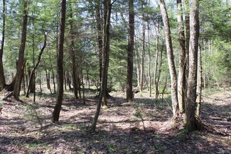 00 Cordoroy Rd, Albion, NY 14411