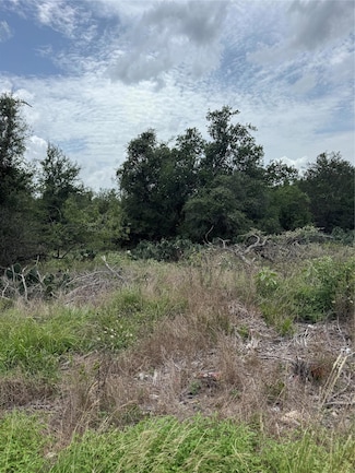 Lot 687 Kawainui Ln, Bastrop, TX 78602