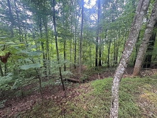 Lot 31 Highland Forge Ln, Blairsville, IA 50512