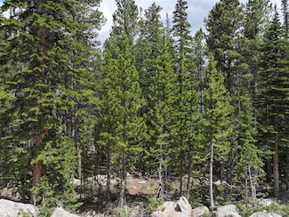 0 Lake Rd, Idaho Springs, CO 80452