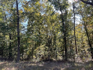 0 County Road 163, Hamilton, AL 35570
