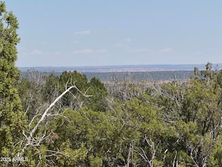 Lot 178 Red Sky Ranch -- Unit 178, Saint Johns, AZ 85936