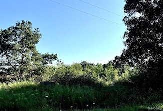 00 Country Kate Ln, Imlay Township, MI 48444