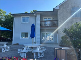 1230 Tri Motor Dr Unit 4, Put In Bay, OH 43456