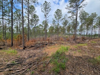 0 Watts Rd, Munford, AL 36268