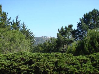 60 Trenton Place, San Mateo, CA 94402