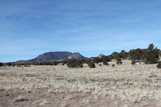 0 Old Thomas Ranch Rd, Datil, NM 87821