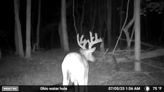 548 Boyer Rd, Wheelersburg, OH 45694