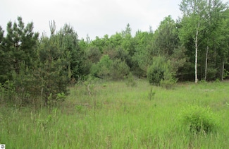 13272 60th Ave, Remus, MI 49340