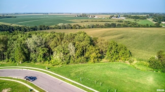 00 N Hickory Run, Elmwood, IL 61529